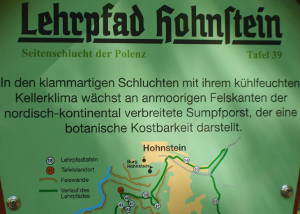 Hinweisschild Lehrpfad Hohnstein Hinweisschild Lehrpfad Hohnstein